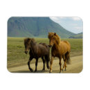 Recherche de islandais magnets Cheval