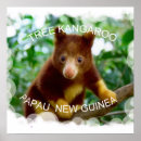 Recherche de kangourou posters Poche
