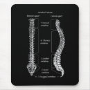 Recherche de vertébré tapis souris Épine