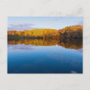 Recherche de boise cartes postales Pour lui