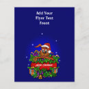 Recherche de lapin prospectus Mignon