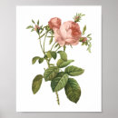 Recherche de chou fleur posters Pour elle
