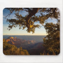 Recherche de paysage nature tapis souris Majestueux