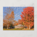 Recherche de bois de chauffage cartes postales Automne