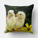 Recherche de poussin coussins Printemps