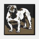 Recherche de canines magnets Vintage
