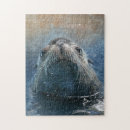 Recherche de otaries puzzles Vie marine