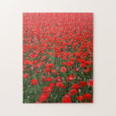 Recherche de pavots puzzles Photographe