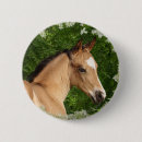 Recherche de cheval équestre badges Fleurs