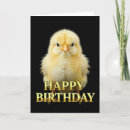 Recherche de poulet vœux cartes Adorable
