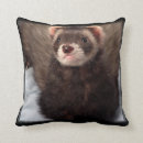 Recherche de de furet coussins Animaux familiers