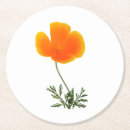 Recherche de coquelicot dessous de verres Été