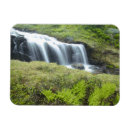 Recherche de europe magnete Nature