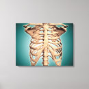 Recherche de cage impressions sur toile Squelette