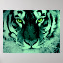 Recherche de yeux de tigre posters Tigres