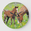 Recherche de colt horloges Cheval