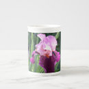 Recherche de iris rose tasses Floral