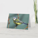 Recherche de chantez vœux cartes Oiseau