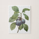 Recherche de fruit vintage puzzles Rétro
