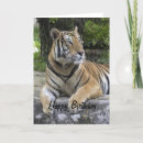 Recherche de tiger anniversaire cartes Faune