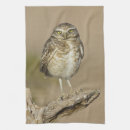 Recherche de ornithologie cuisine linges Ornithologue