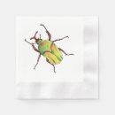 Recherche de insecte vert Jaune