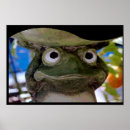 Recherche de grenouille art Crapaud