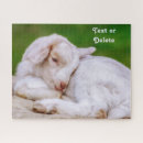 Recherche de sommeil puzzles Nature