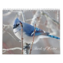 Recherche de oiseau calendriers Hiver