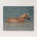 Recherche de haflinger puzzles Mer