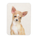 Recherche de lisse magnets Chihuahua