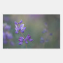 Recherche de lupin autocollants Nature