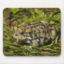 Recherche de focal tapis souris De près