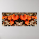 Recherche de champignon art Abstrait