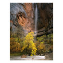 Recherche de rouge gorge posters Automne