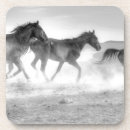 Recherche de mustang dessous de verres Chevaux