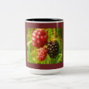 Recherche de blackberry tasses Pour tous