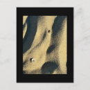 Recherche de ombrie cartes postales Nature