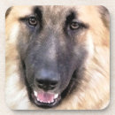 Recherche de gsd dessous de verres Dog