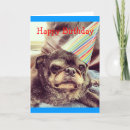 Recherche de petanque vœux cartes Pétanque