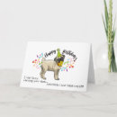 Recherche de humour carlin vœux cartes Humour de chien