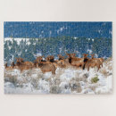 Recherche de elk puzzles Wapiti