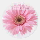 Recherche de marguerite de gerbera autocollants Floral
