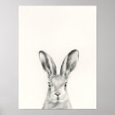 Recherche de lapins posters Animal