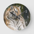 Recherche de sibérien horloges Tigre