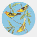 Recherche de ornithologie autocollants Observation des oiseaux