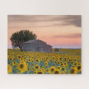 Recherche de sunflower puzzles Farm
