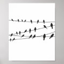 Recherche de oiseau noir et blanc posters Oiseaux