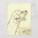 Recherche de loup chien Hurlement