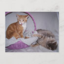 Recherche de impressionnant cartes postales Humour